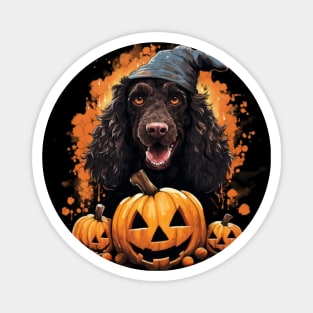 Irish Water Spaniel Dog Halloween Magnet